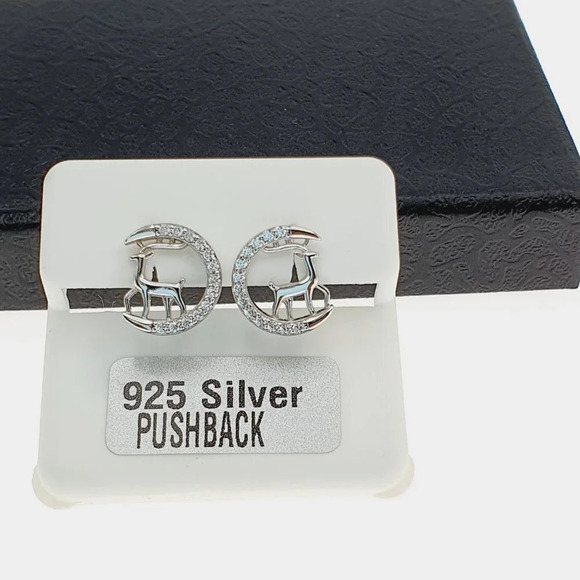 "925 sterling silver luxury CZ earrings for women/girls, Best for RJUS2226 - Picture 6 of 10